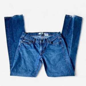 Gap straight leg boycut southwestern classic Blue Women's Jeans casual - size 8